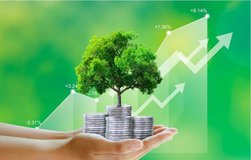 Cần từ 330 - 370 tỷ USD cho việc giảm phát thải ròng về 0