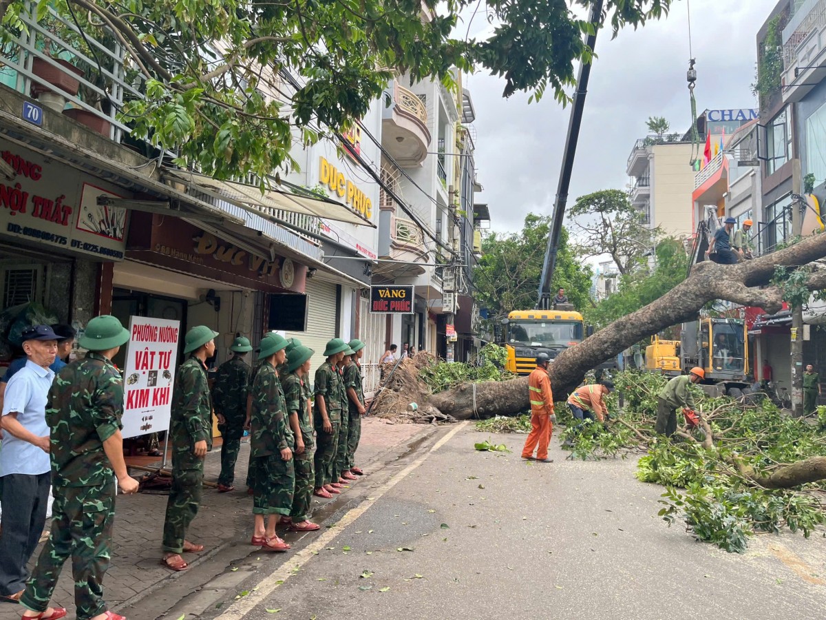 Siêu bão đi qua lực doanh nghiệp Cây Xanh dồn lại