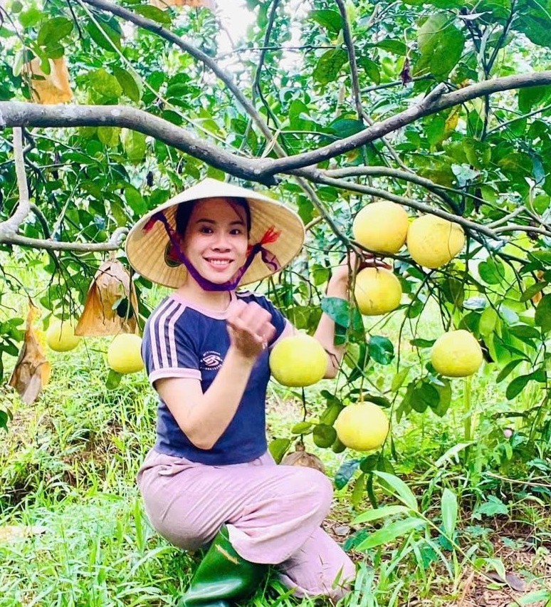 “Đệ nhất danh quả” Hà Tĩnh mang về gần 600 tỷ đồng cho huyện miền núi