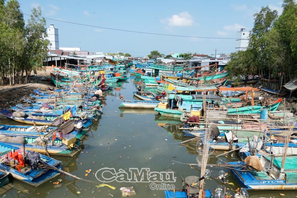 Vàm Ba Tỉnh, nơi neo đậu tàu thuyền của ngư dân ấp Mũi Tràm B, xã Khánh Bình Tây Bắc, huyện Trần Văn Thời, 1 trong 2 xã thuộc dự án hỗ trợ nhân rộng mô hình ĐQL trong bảo vệ nguồn lợi thuỷ sản.