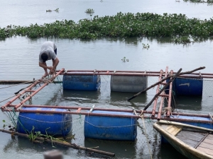 Người nuôi trồng thuỷ sản Hà Tĩnh chủ động gia cố lồng bè, ao hồ ứng phó mưa bão