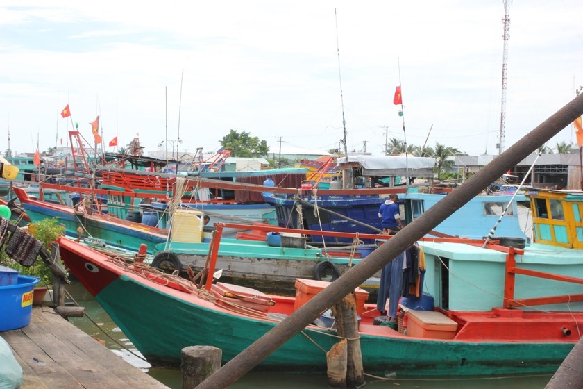 Cà Mau đẩy mạnh tuyên truyền cao điểm chống khai thác thủy sản bất hợp pháp, không báo cáo và không theo quy định IUU trên địa bàn tỉnh.