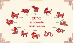 Tử vi thứ 6 ngày 20/9/2024 của 12 con giáp: Thân tài lộc, Tí muộn phiền