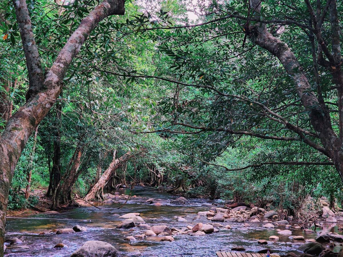 Tánh Linh - Bình Thuận: Hành trình khám phá  du lịch sinh thái hoang sơ