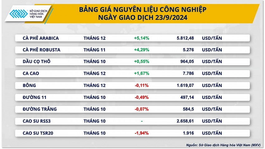 Giá cà phê hôm nay 24/9/2024: Cà phê nhân xô tăng cùng chiều với cà phê thế giới