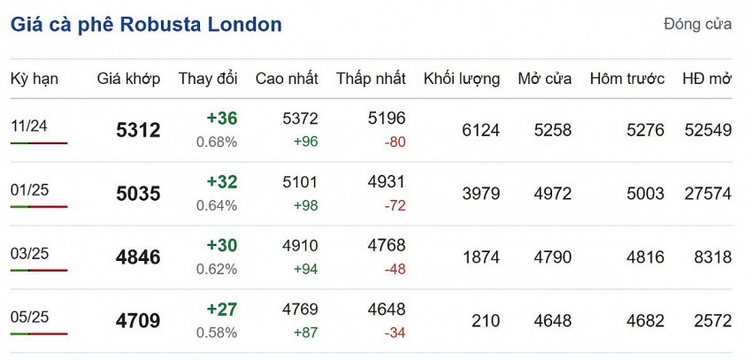 Giá cà phê Robusta London cập nhật lúc 06:50:02 hôm nay 25/9.