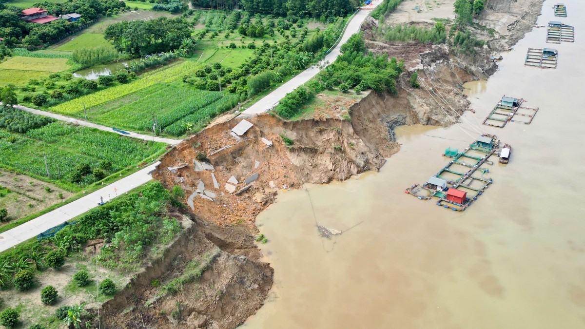 Phú Thọ: Xử lý khẩn cấp sạt lở đê tả sông Lô với kinh phí dự kiến khoảng 15 tỷ đồng