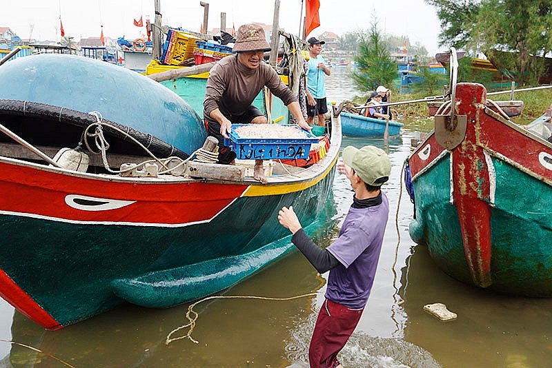 Quảng Bình: Tổng sản lượng thủy sản đạt trên 80.000 tấn