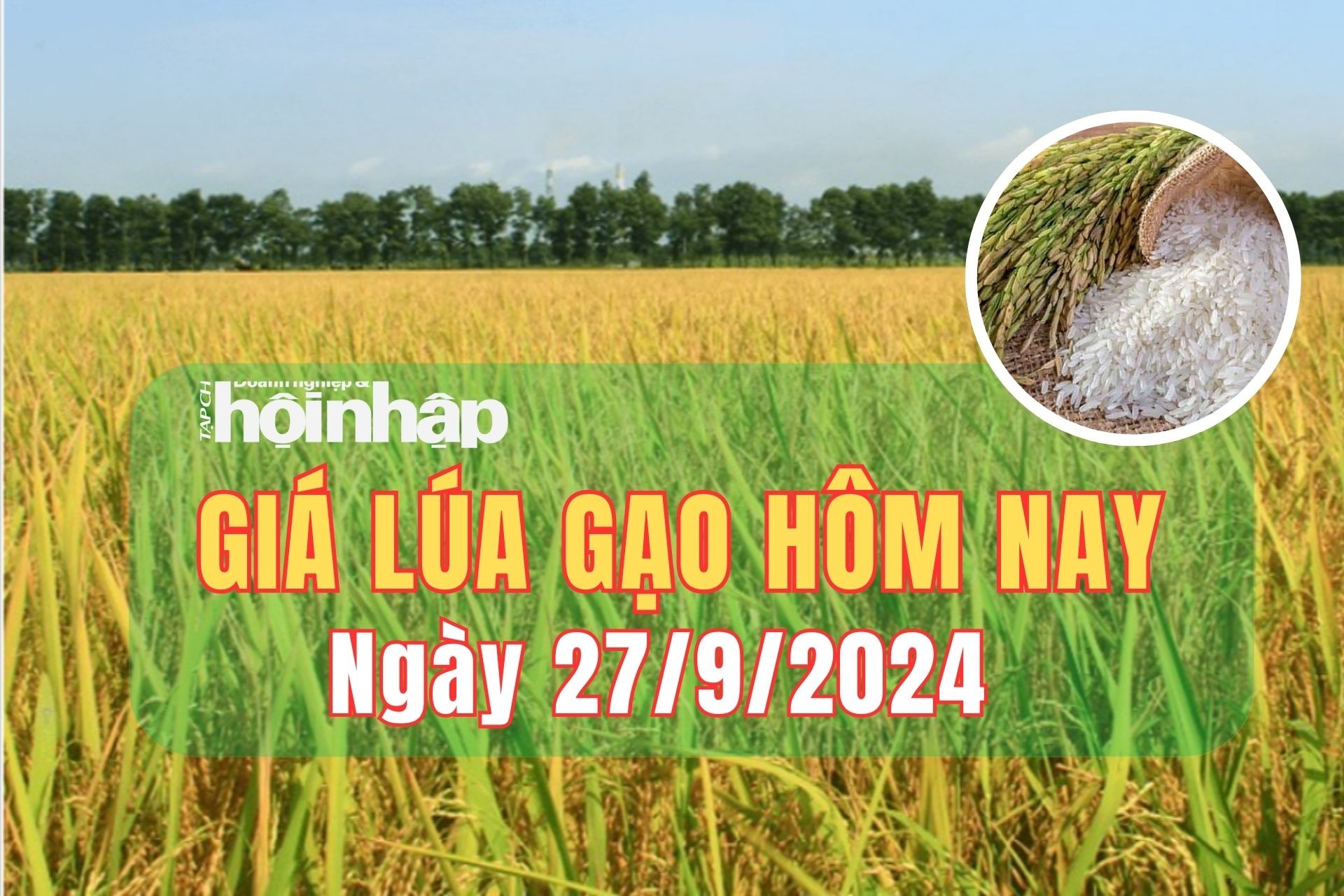 Giá lúa gạo hôm nay 27/9/2024: Giá lúa ổn định