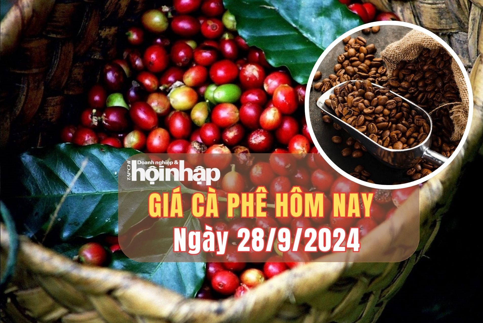 Giá cà phê hôm nay 28/9/2024: Cà phế thế giới quay đầu giảm