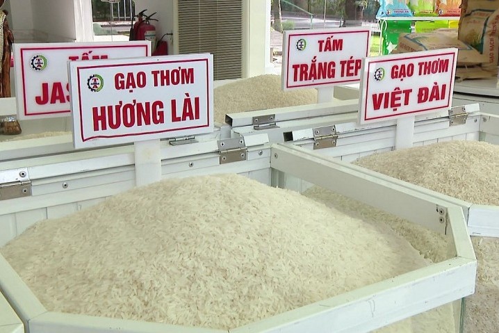 Ấn Độ gỡ lệnh cấm xuất khẩu, gạo Việt Nam có rớt giá?