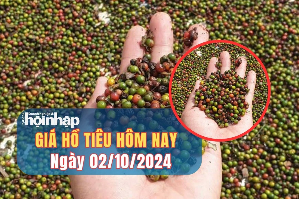 Giá hồ tiêu hôm nay 02/10/2024: Giá tiêu tăng, giảm trái chiều tại các vùng trọng điểm