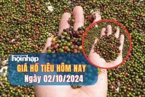 Giá hồ tiêu hôm nay 02/10/2024: Giá tiêu tăng, giảm trái chiều tại các vùng trọng điểm