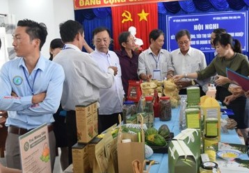 Cà Mau: Khảo sát thị trường và kết nối giao thương với đoàn doanh nghiệp quốc tế