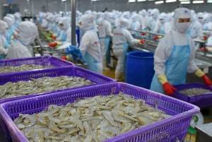 VASEP: Quay lại quỹ đạo tăng trưởng, ngành thủy sản đang bứt tốc