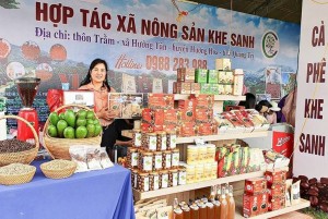 Quảng Trị: Điểm sáng từ chính sách kinh tế nông nghiệp