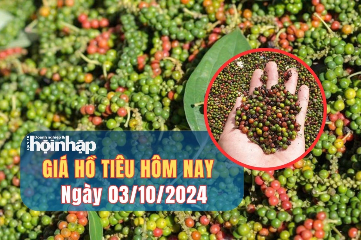 Giá hồ tiêu hôm nay 03/10/2024: Giá tiêu trong nước và thế giới tăng, giảm trái chiều