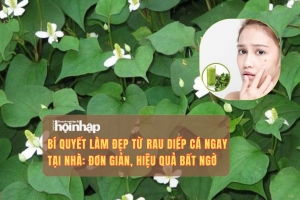 Bí quyết làm đẹp từ rau diếp cá ngay tại nhà: Đơn giản, hiệu quả bất ngờ