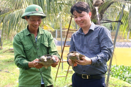 Một nông dân ở Phú Thọ đạt danh hiệu 