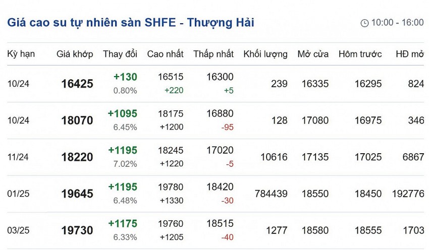 Giá cao su hôm nay 4/10/2024: Giá cao su trong nước tăng ngược chiều với thế giới