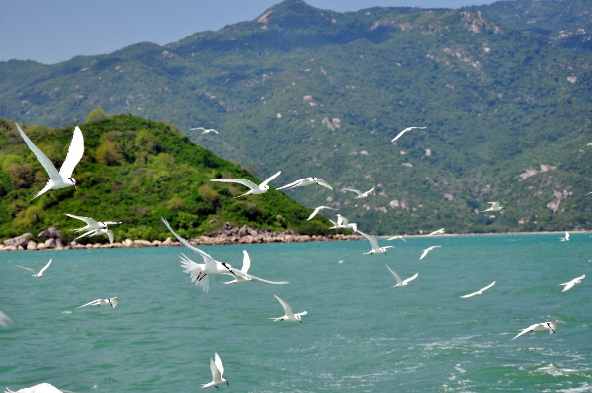 “Du lịch Nha Trang – Khánh Hòa, đến để yêu”: Cơ hội đạt trên 10 triệu lượt du khách