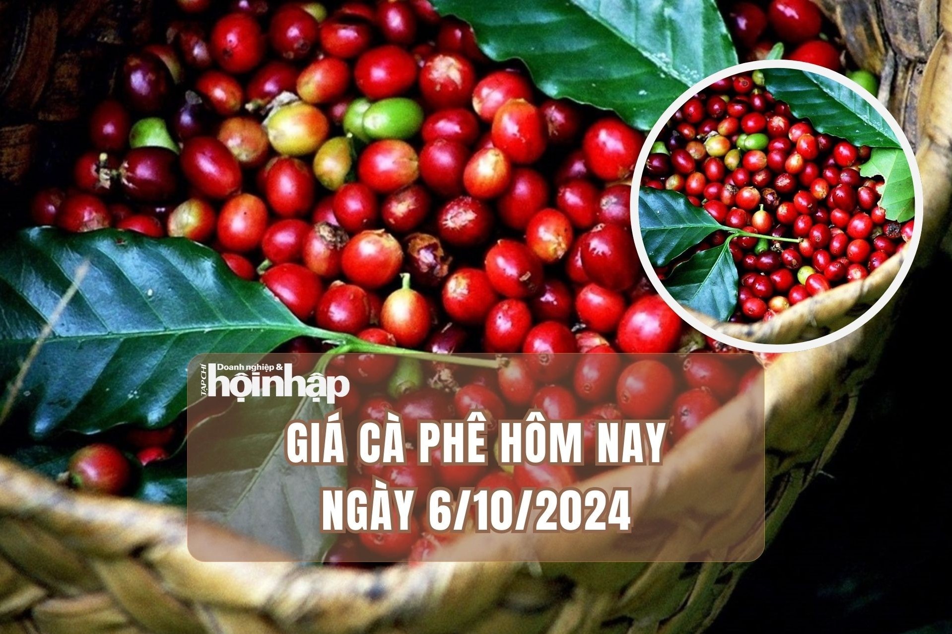 Giá cà phê hôm nay 6/10/2024: Giá cà phê trong nước quay đầu tăng mạnh