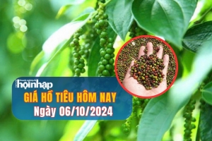 Giá hồ tiêu hôm nay 06/10/2024: Giá tiêu tăng nhẹ ở khu vực Tây Nguyên