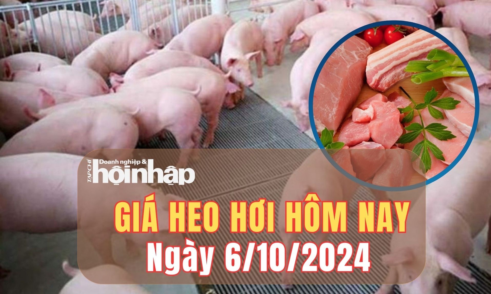 Giá heo hơi hôm nay 6/10/2024: Giá heo hơi biến động nhẹ