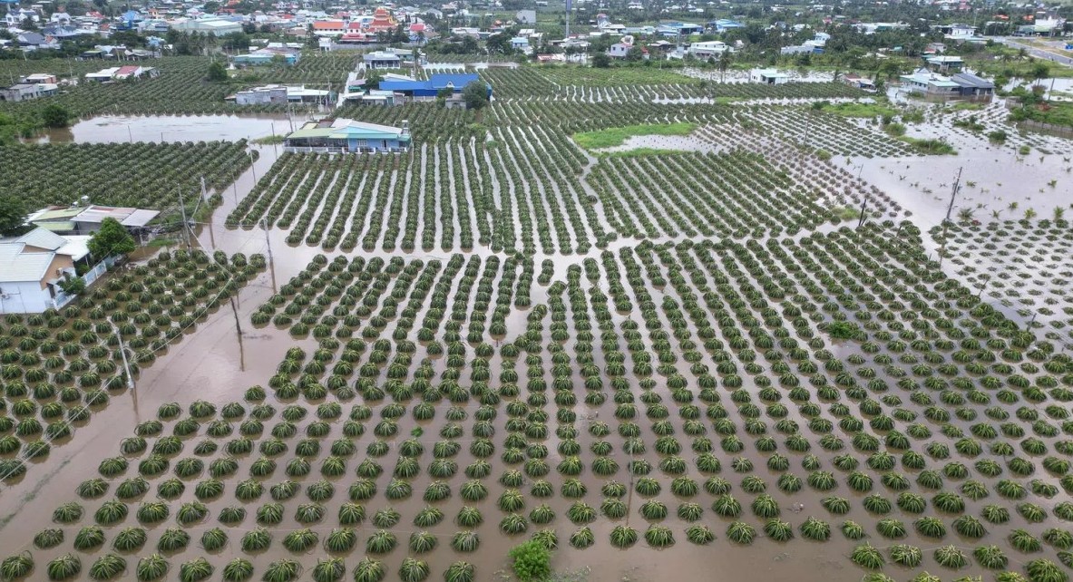 Tăng trưởng kinh tế Việt Nam bất ngờ tăng tốc trong quý III