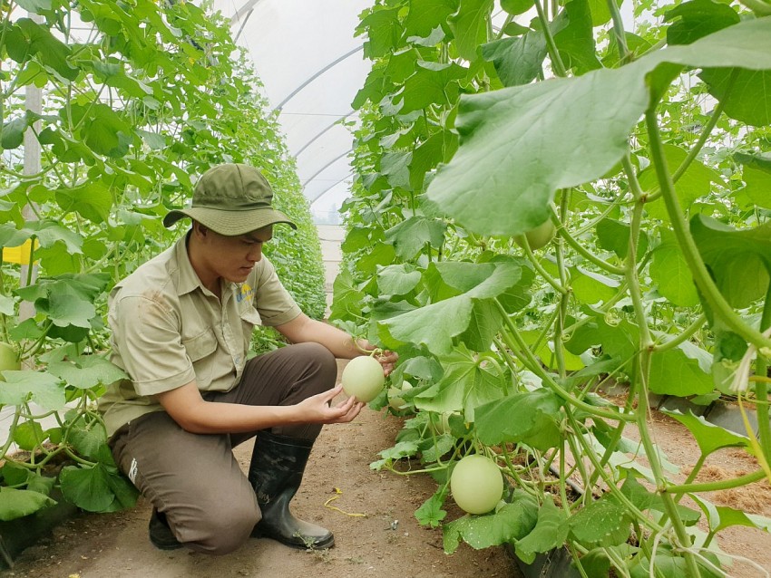 Nông nghiệp Bình Dương đã chuyển dịch đúng hướng