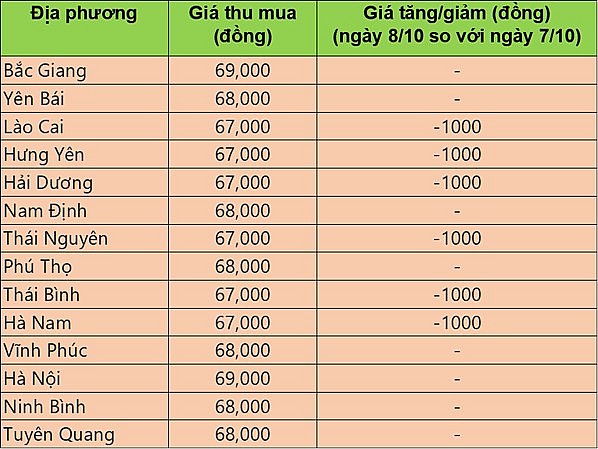 Giá heo hơi hôm nay 8/10/2024: Giá heo hơi giảm 1.000 đồng/kg, dao động từ  63.000 - 69.000 đồng/kg