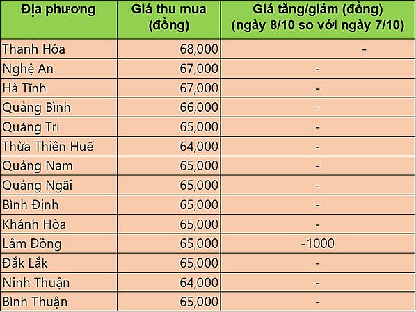Giá heo hơi hôm nay 8/10/2024: Giá heo hơi giảm 1.000 đồng/kg, dao động từ  63.000 - 69.000 đồng/kg