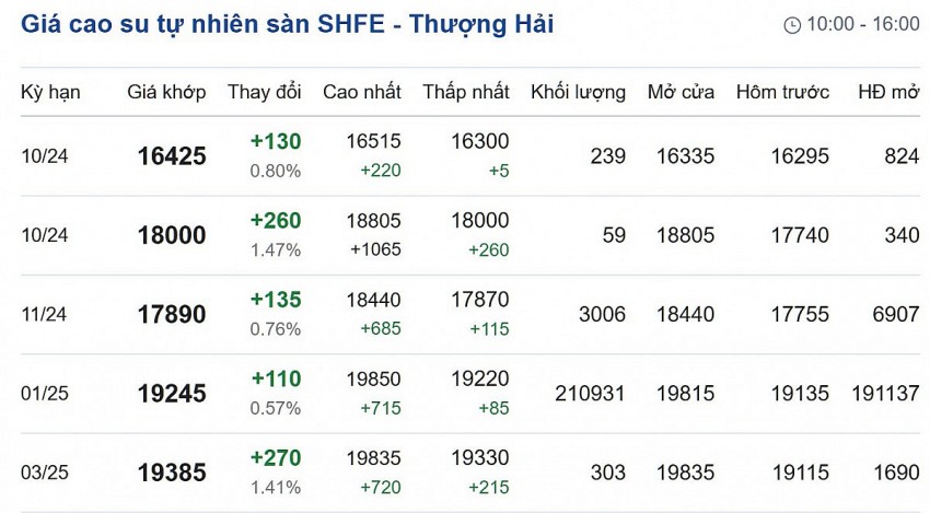 Giá cao su hôm nay 8/10/2024: Giá cao su trên sàn Tokyo và SHFE tăng