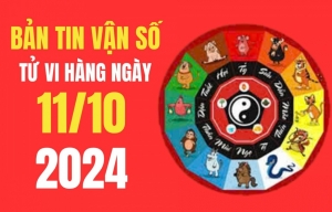 Tử vi - Vận số ngày 11/10/2024 - Các tuổi Tỵ, Tý, Thân, Thìn vận đỏ vây quanh