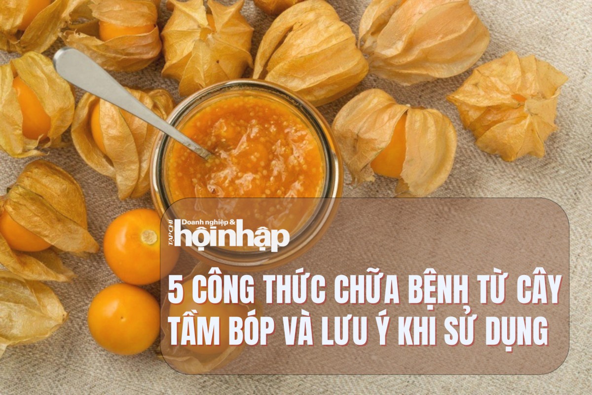 5 công thức chữa bệnh từ cây tầm bóp và lưu ý khi sử dụng