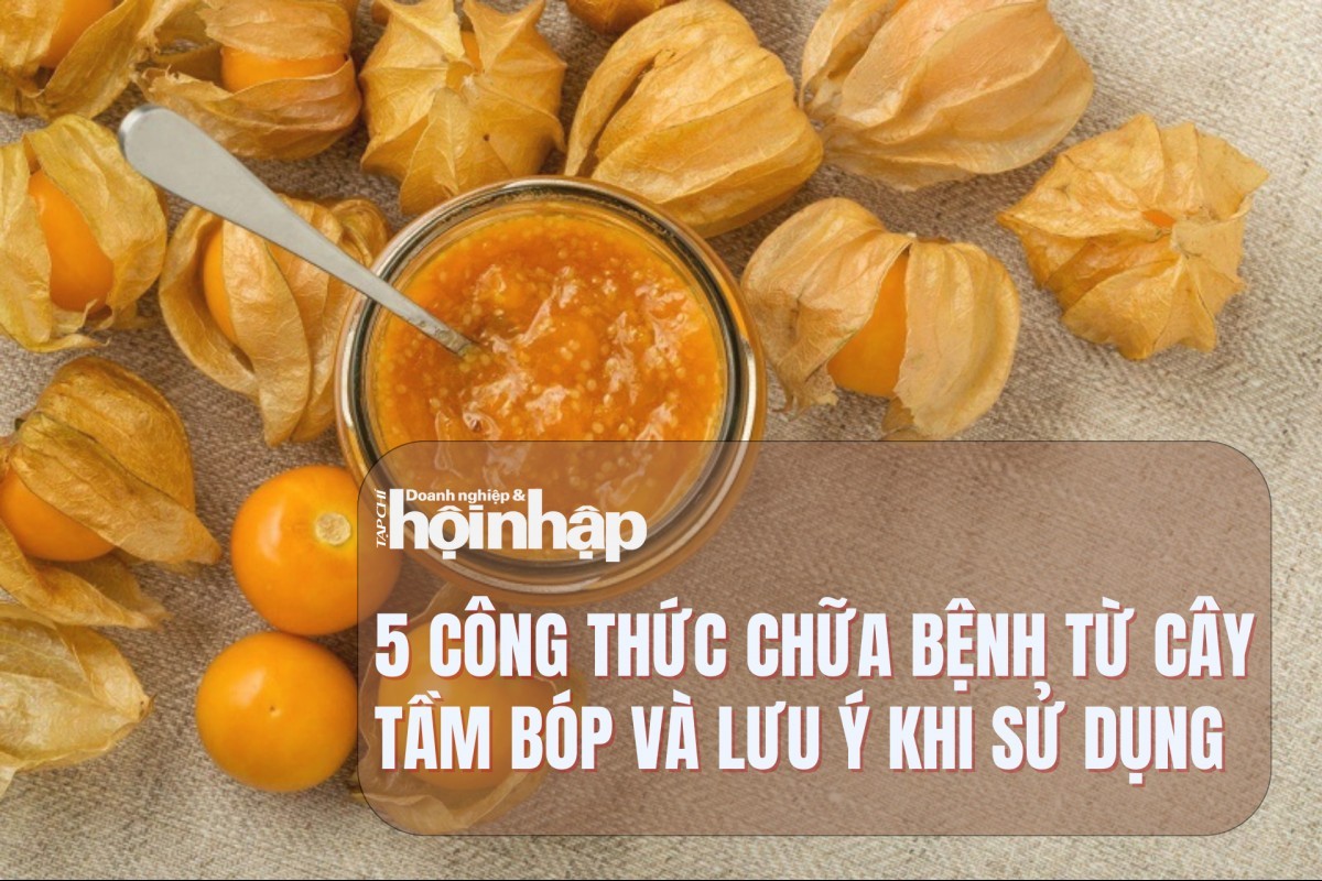 5 công thức chữa bệnh từ cây tầm bóp và lưu ý khi sử dụng