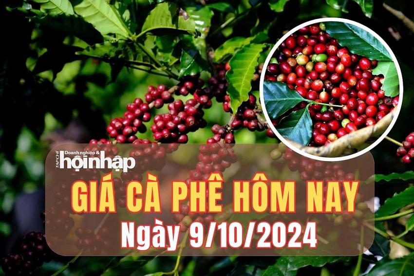 Giá cà phê hôm nay 9/10/2024: