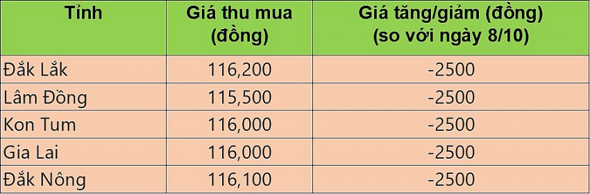 Giá cà phê hôm nay 9/10/2024: Cà phê Arabica trên sàn New York tăng 1,45%, lên mức 248.20 cent/lb