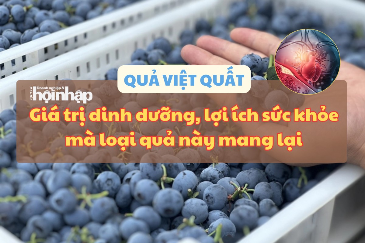  Giá trị dinh dưỡng, lợi ích sức khỏe mà quả việt quất mang lại