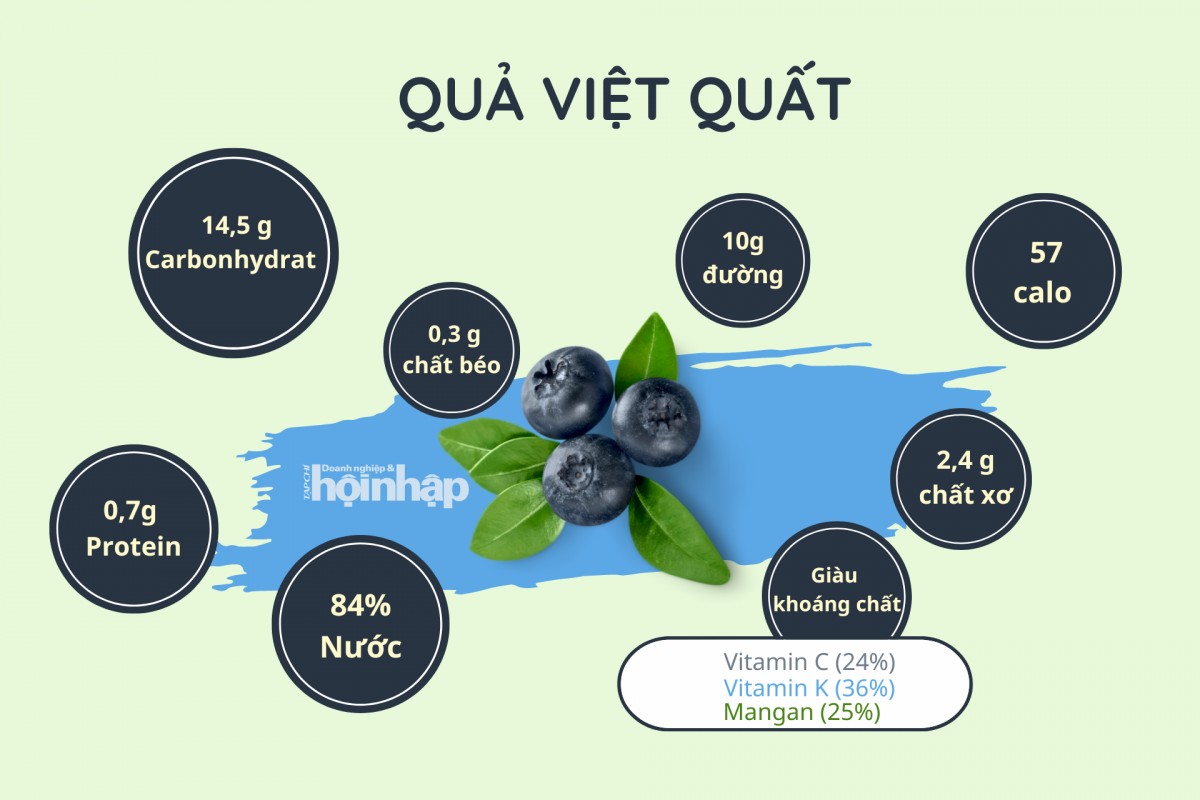 100g việt quất chứa những thành phần dinh dưỡng rất tốt