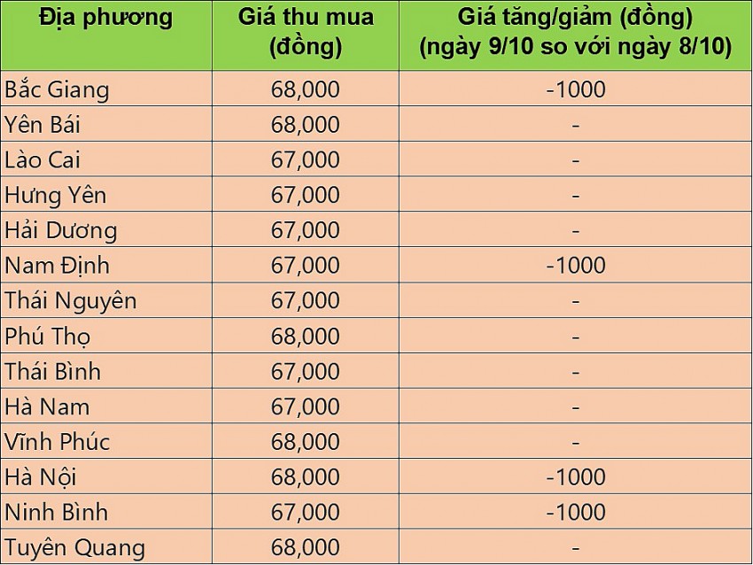 Giá heo hơi hôm nay 9/10/2024: Giá heo hơi tiếp tục giảm 1.000 đồng/kg