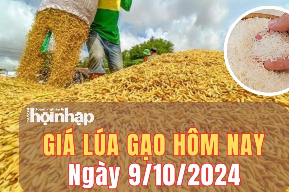 Giá lúa gạo hôm nay 9/10/2024: Giá gạo xuất khẩu giảm 3 USD/tấn, ở mức 440 USD/tấn