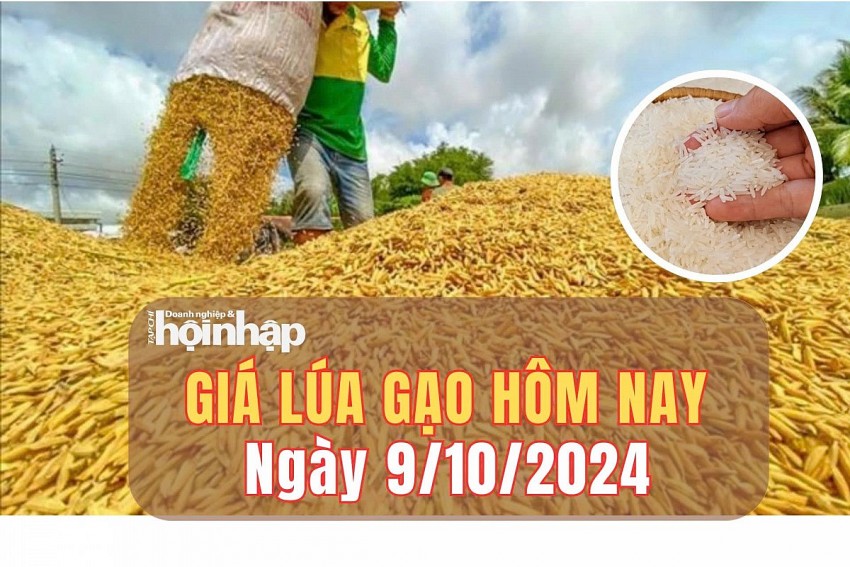 Giá lúa gạo hôm nay 9/10/2024: Giá gạo xuất khẩu giảm 3 USD/tấn, ở mức 440 USD/tấn