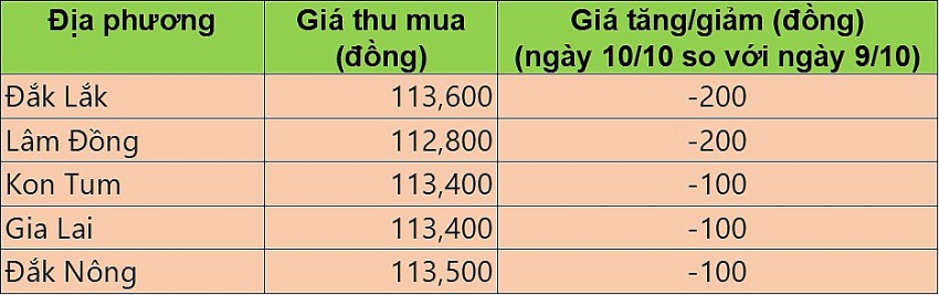 Giá cà phê hôm nay 10/10/2024: Cà phê trong nước giảm 100-200 đồng/kg