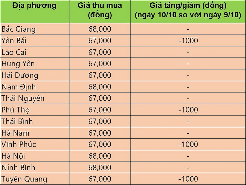 Giá heo hơi hôm nay 10/10/2024: Giá heo hơi duy trì đà giảm trên cả ba miền