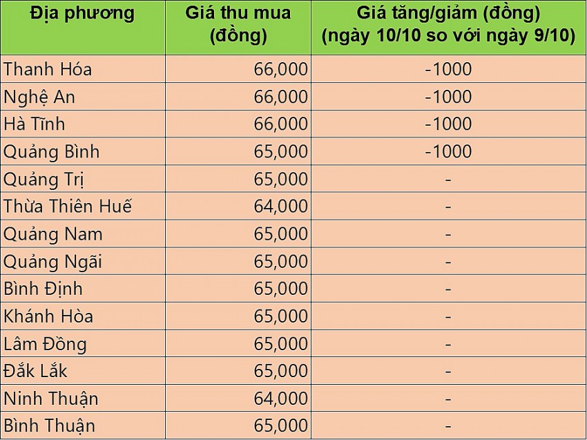 Giá heo hơi hôm nay 10/10/2024: Giá heo hơi duy trì đà giảm trên cả ba miền