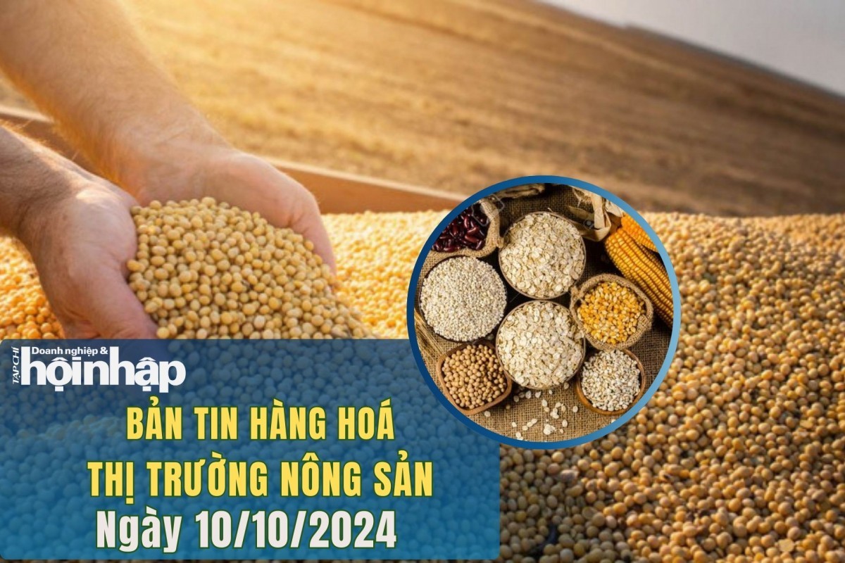 Thị trường nhóm nông sản 10/10/2024: Giá lúa mì, ngô, đậu tương đồng loạt tăng