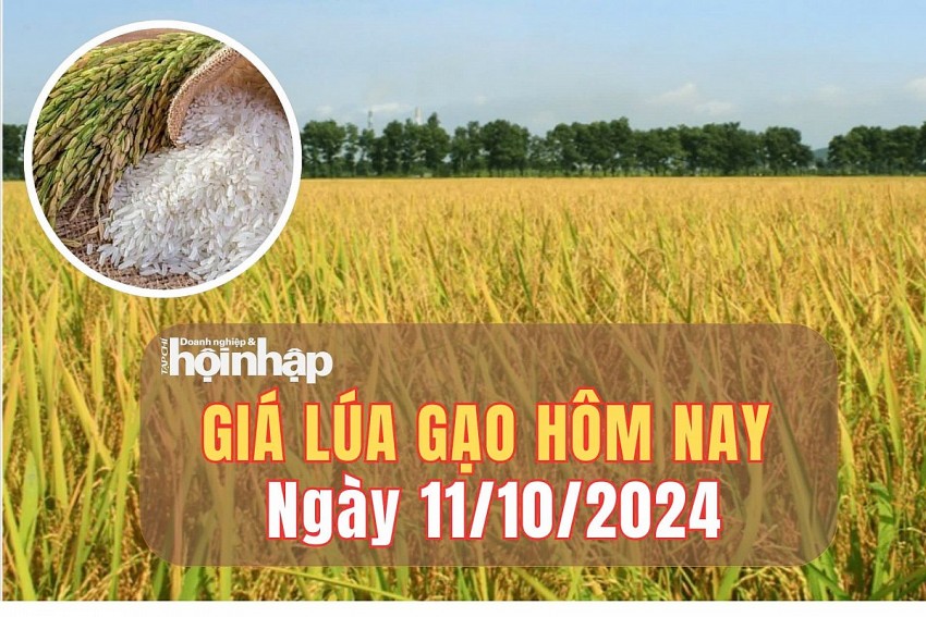 Giá lúa gạo hôm nay 11/10/2024: Giá gạo trong nước duy trì đà giảm