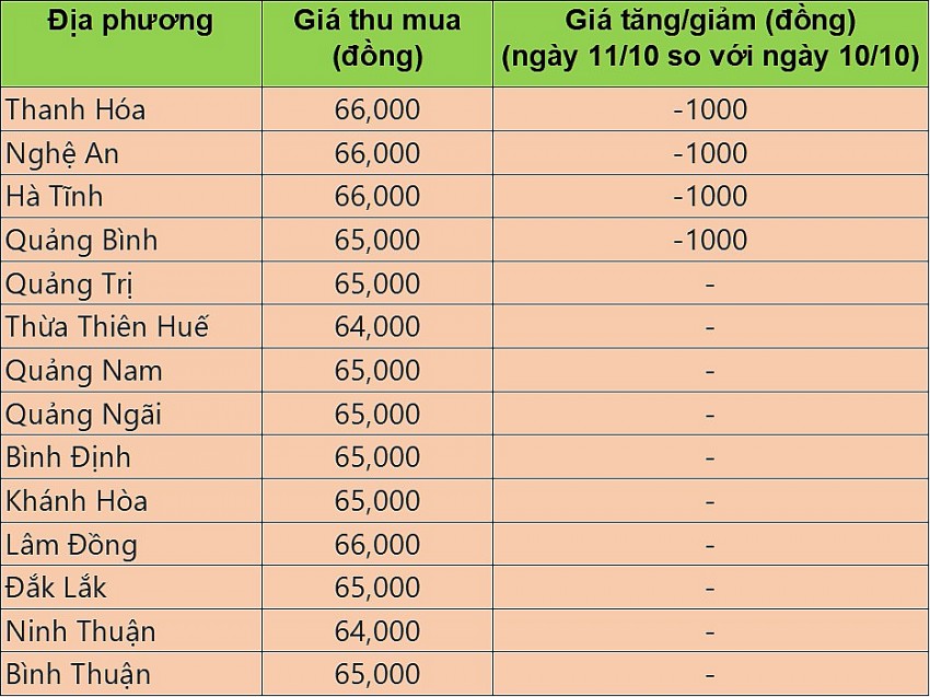 Giá heo hơi hôm nay 11/10/2024: Giá heo hơi tại miền Bắc thấp nhất 66.000 đồng/kg