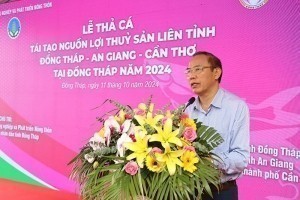 Đồng Tháp - An Giang - Cần Thơ thả cá bảo vệ nguồn lợi thủy sản